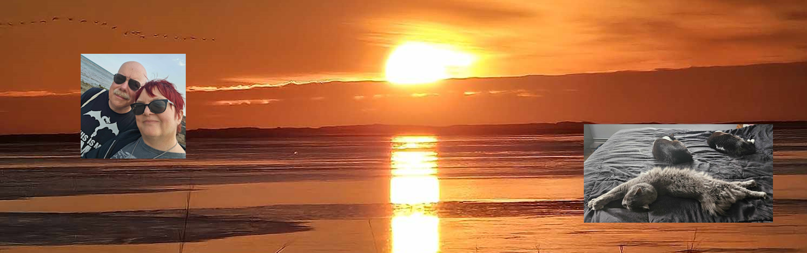 Crystal and Graeme - Born Yesterday